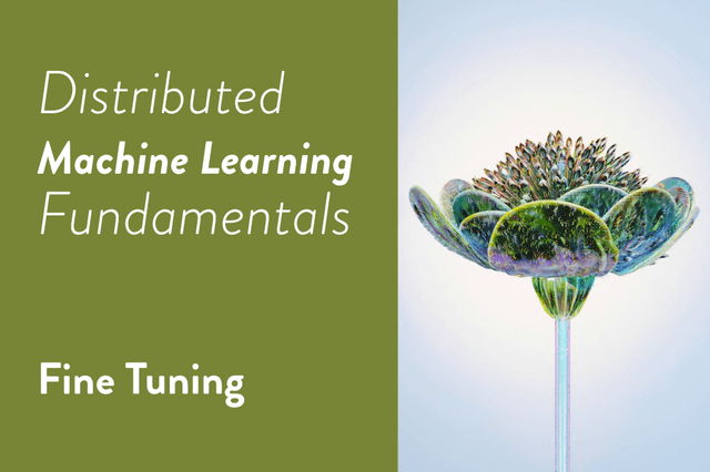 Distributed Machine Learning Fundamentals: Fine Tuning