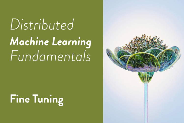 Distributed Machine Learning Fundamentals: Fine Tuning